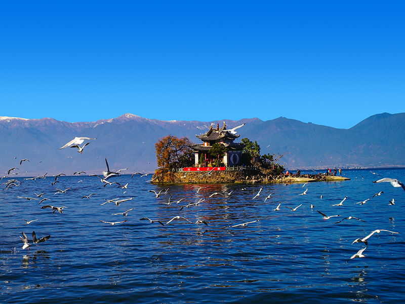 Tour to China Yunnan Travel Guide Service 