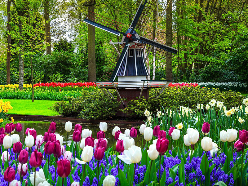荷兰库肯霍夫公园