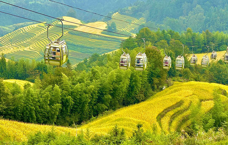 Travel-Advisory-China-Longji-Rice-Terraces-Guilin.jpg